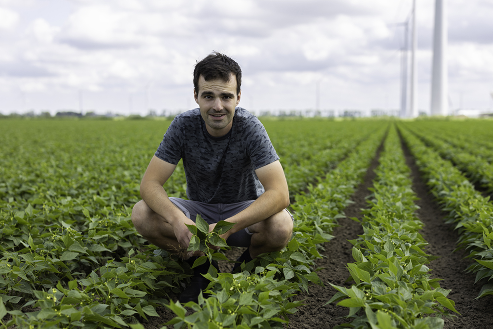 let-assortiment-banners